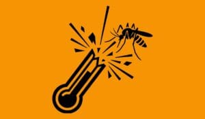 NÃO SE ENGANE_ O _MAÇARICO_ VAI LIGAR DE NOVO BANNER EXPONEWS